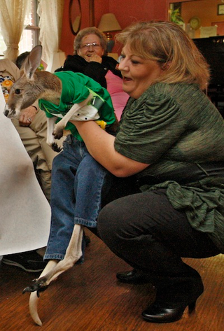 Illustration for article titled Woman Fights To Keep Injured Therapy Kangaroo